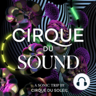 Welcome to Cirque du Sound