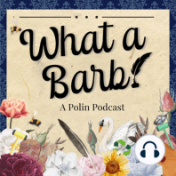 Episode 17 - What a Question! [Q&A]