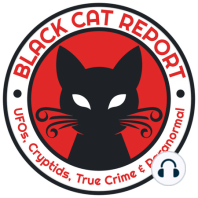 Welcome to the Black Cat Report!