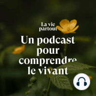 Comment les plantes savent que c'est l'automne ?