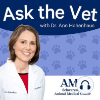 33. Vet Tech Week 2023 with AMC Chief Veterinary Technician Nancy Patsos