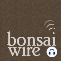 Bonsai Central: How to run a bonsai convention