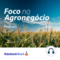 Soja – Expectativas sobre a área e plantio na América do Sul