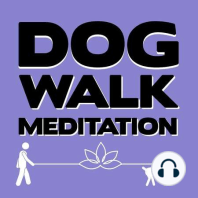 Feeling Gratitude (Walking Meditation)