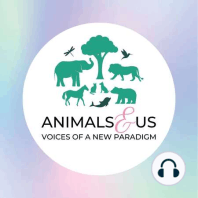 Life in animal law, wildlife law and policy, how to cope with emotions and stress, and animal sentience, intelligence and consciousness