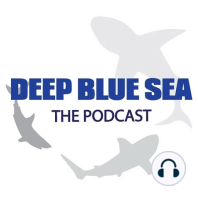 Episode 35 (Deep Blue Recap)