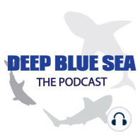 Episode 36 (A Conversation With John Pogue, the Director of Deep Blue Sea 3)