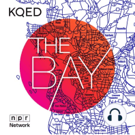 The Bay’s October News Roundup: Richmond Stands With Palestine, Cruise Suspended in SF, A Win For Child Care Workers