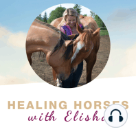 Introducing Elisha Edwards and the Healing Horses Podcast