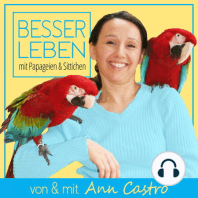 BLPS-019 Was kannst du tun, wenn dein Papagei oder Sittich beißt? (Beißen & Aggressionen Teil 1)