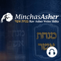 Rav Asher Weiss Remembering his Rebbe, The Klausenburger Rebbe zt''l (EN) - 5782
