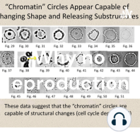 How acid hydrolysis revealed the structure of eukaryotic chromosomes.