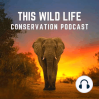 Ep. 9: Remembering Leopards with the Cape Leopard Trust (SA) & Wildlife Conservation Society (Afghanistan)