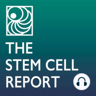 The Selling of Stem Cells