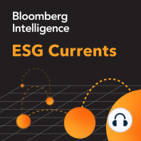 There's More to E Than Climate: ESG Currents