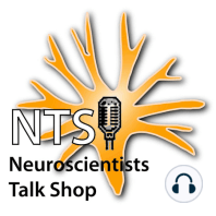 Episode 33 -- Ion Channels and Firing Patterns of Dopaminergic Neurons