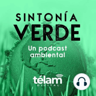 Espacios verdes: Buenos aliados contra la contaminación sonora