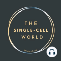 Ep. 06: Testing ChatGPT Single-Cell Knowledge