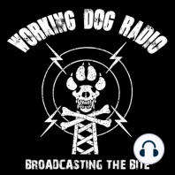 Episode 27: DOUBLE DROP FROM HITS K9 in DC Ted Daus and Ken Pavlick