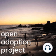 Open Adoptee Roots with Devanie Roberts