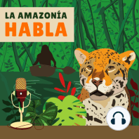 COP 28: Desafíos y Oportunidades Para la Amazonia