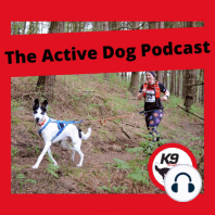 Episode 5: How to choose the right harness for your dog