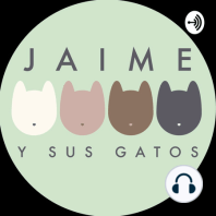 EP 254 mantén a tu gato calientito en invierno