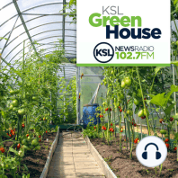 KSL Greenhouse Full Show 12/2/23