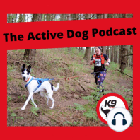 Episode 11: How canicross differs from trail running