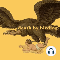 17 - Birds Gone Wild with Angus Hamilton