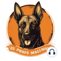 33. Tipos de ladrido en un perro