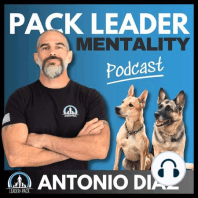 Ep 2: The TRUTH About Punishment In Dog Training