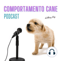 Ep 9 - Costruire una relazione con una cagnolina appena adottata Q&A