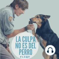 El encantador de perros argentino nos habla de resolver los problemas "en familia".