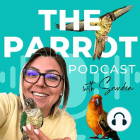 Episode 4: Why Pet Parrots are a BIG Responsibility, Baby Birds, Breeders & Weaning