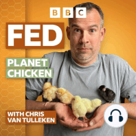 Introducing Fed with Chris van Tulleken – Planet Chicken