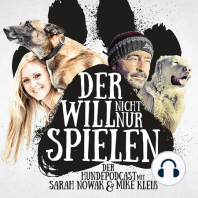 06 "Der will nicht nur spielen" - Gewalt gegen den eigenen Hund. Der Mensch und seine Abgründe
