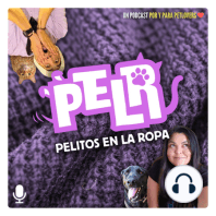 ¡Peludas Fiestas! feat. Alan Alarcón y Porfirio el Gato
