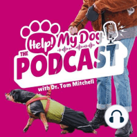 Ep 5: A Transformational Trick for Anxious Dogs, Mud & a Dismissal