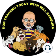 Dog Training Today with WIll Bangura: #143 Q & A with Will FaceBook Live, National Train Your Dog Month