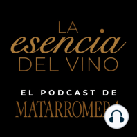 7: BERNARDO HERNÁNDEZ - Florece la ilusión - La Esencia del Vino &#127863;. MATARROMERA.