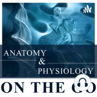 Episode 25: Bone function and classification