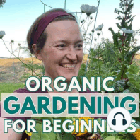 002: Top 5 Gardening Mistakes To Avoid As A Beginner