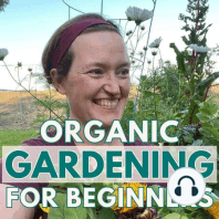 010: What To Do In Your July Garden