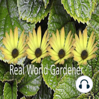 Drinks and tricks with Horseradish on Real World Gardener