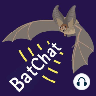 Gargoyle Guardians: A Bat Count at Lacock Abbey with the Wiltshire Bat Group