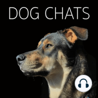 Episode 18: Wintry Enrichment- Indoor Dog Games Part 2
