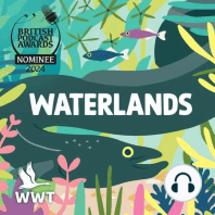 Introducing...Waterlands