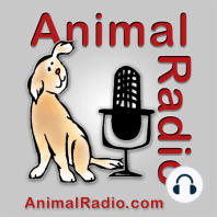 1259. Can Pets Commit Suicide? Animal Behaviorist Dr. Nicholas Dodman Shares His Research.