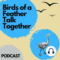 26: Mallard Duck - We Also Talk About Christmas Bird Count